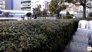 激情视频免费在线